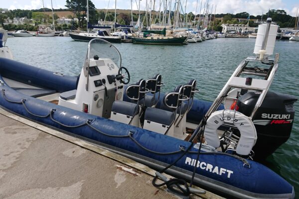Powerboat - Buddy